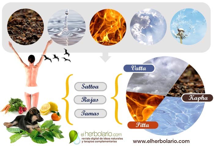 ayúrveda:: elherbolario.com ayúrveda:: elherbolario.com
