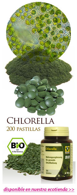 Chlorella elherbolario.com Chlorella elherbolario.com